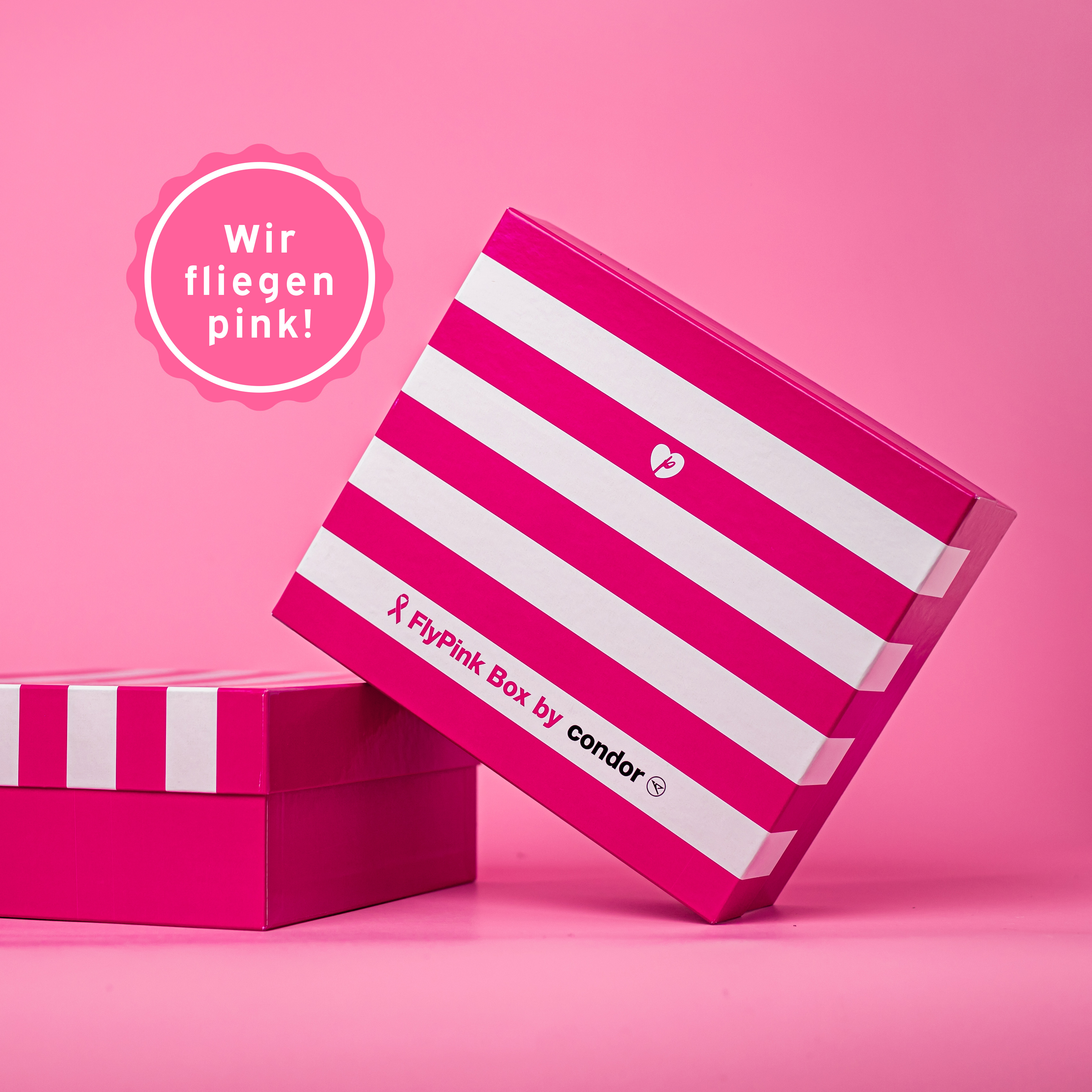 FlyPink Box by Condor